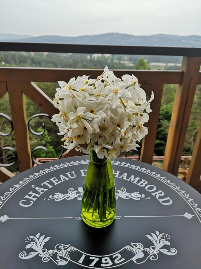 Katun Apartmani & Spa Divcibare Luaran gambar
